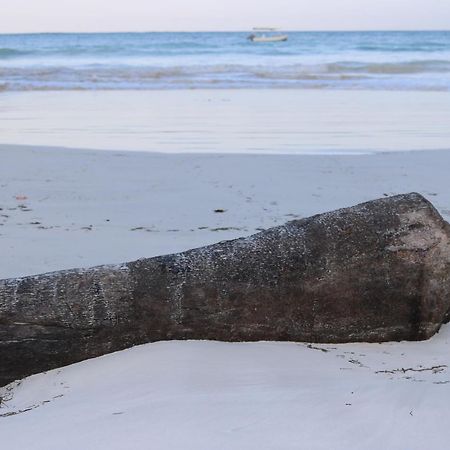 A Wonderful Beach Property In Diani Beach Kenya.A Dream Holiday Place. Mombasa Dış mekan fotoğraf