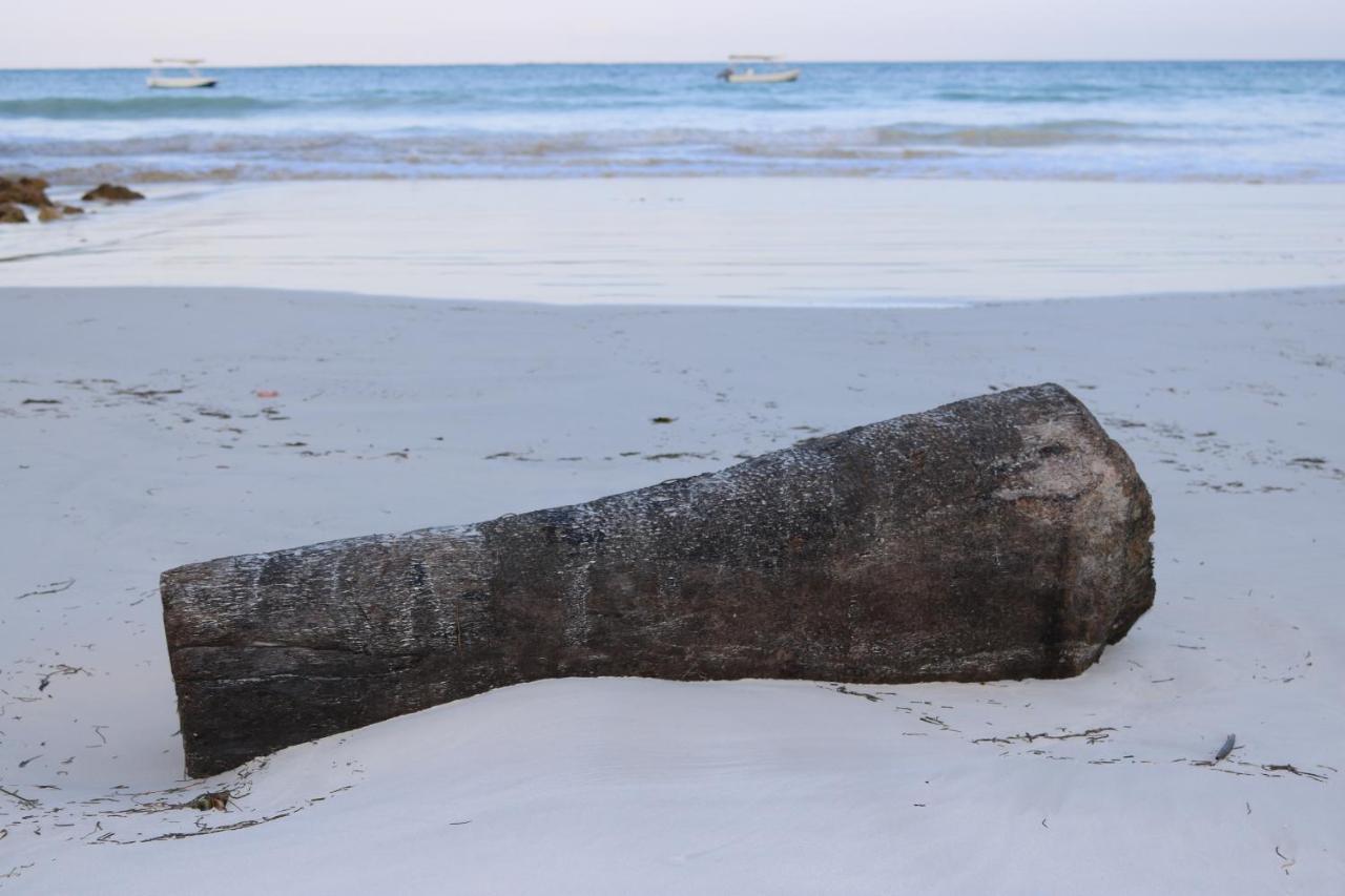 A Wonderful Beach Property In Diani Beach Kenya.A Dream Holiday Place. Mombasa Dış mekan fotoğraf