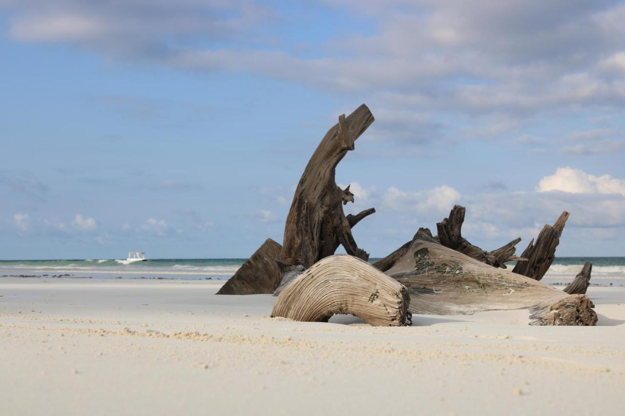 A Wonderful Beach Property In Diani Beach Kenya.A Dream Holiday Place. Mombasa Dış mekan fotoğraf