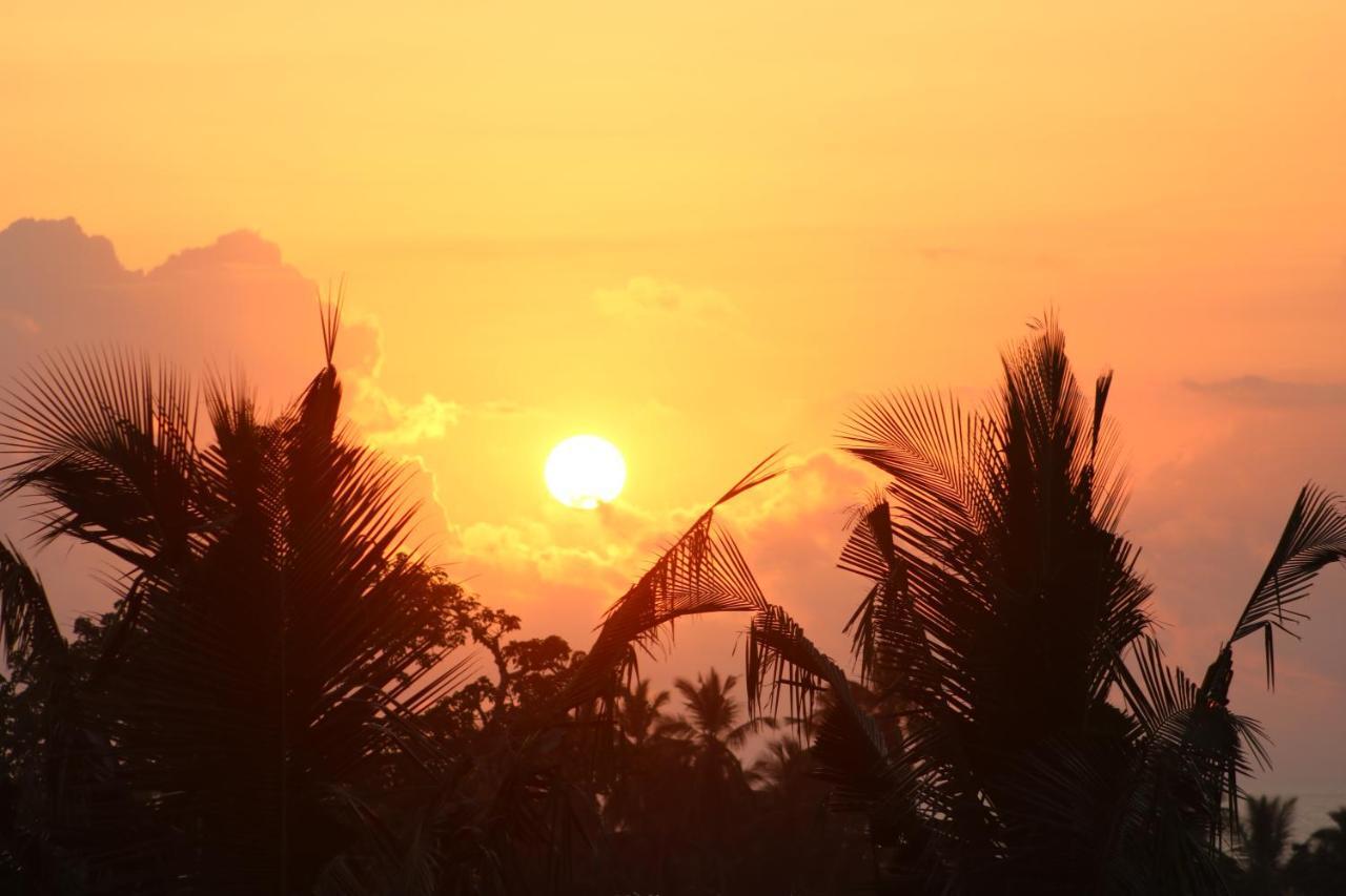 A Wonderful Beach Property In Diani Beach Kenya.A Dream Holiday Place. Mombasa Dış mekan fotoğraf