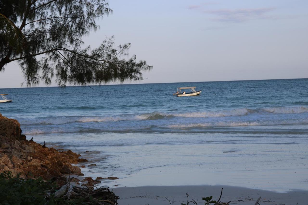 A Wonderful Beach Property In Diani Beach Kenya.A Dream Holiday Place. Mombasa Dış mekan fotoğraf